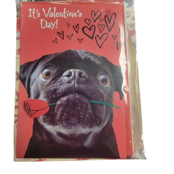 Funny Valentines Day Pug 6 Greeting Cards Set With Matching Envelopes - Picture 3 of 4